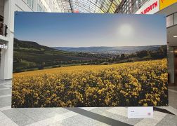 Charity Auktion Zur Fotoausstellung In Der Goethe Galerie In Jena 2026 007